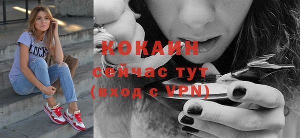 шишки Балабаново